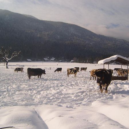 Farmhouse Soklic Bohinj Exterior foto