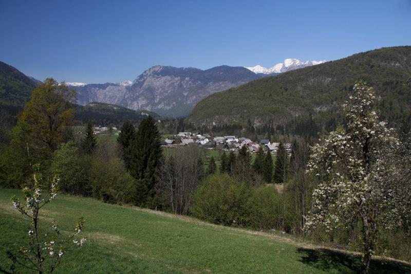 Farmhouse Soklic Bohinj Exterior foto