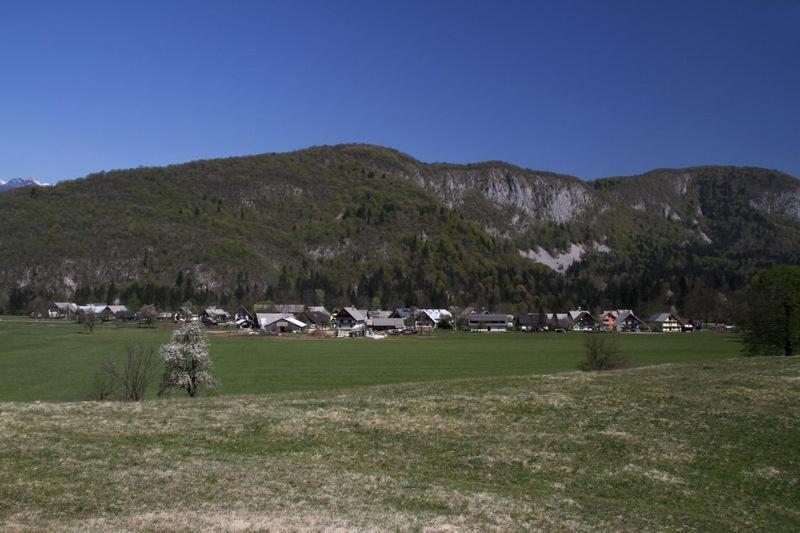 Farmhouse Soklic Bohinj Exterior foto